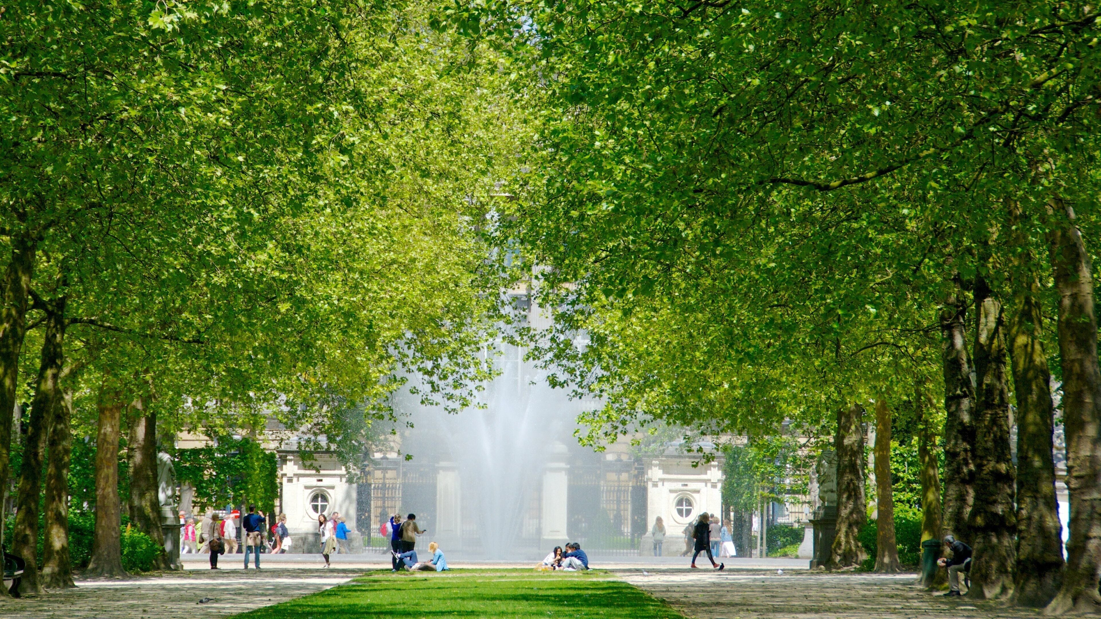 Brussels Park which includes a garden