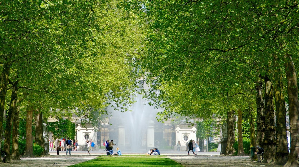 Brussels Park which includes a garden