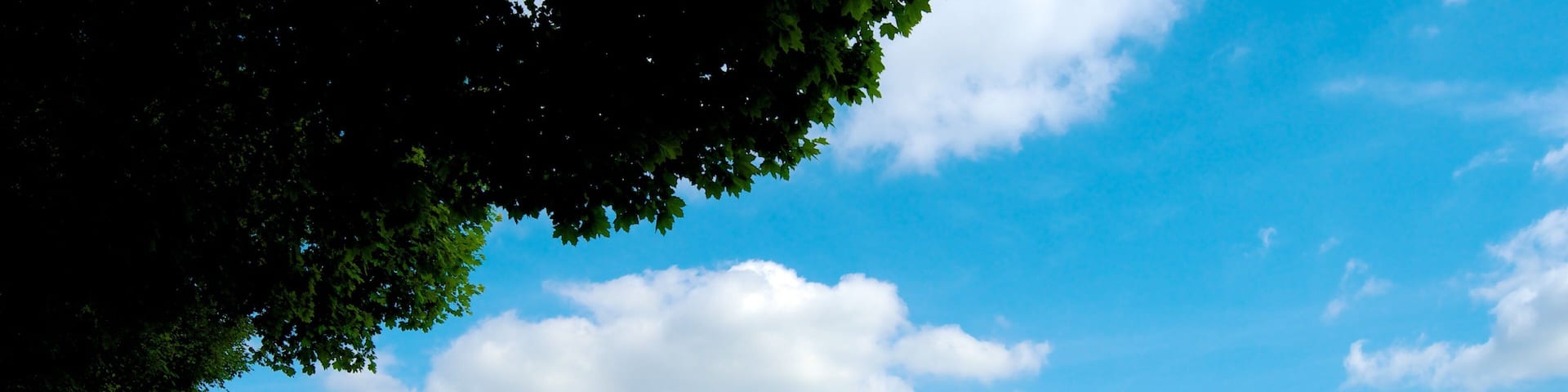 Jubilee Park montrant patrimoine architectural, monument et jardin