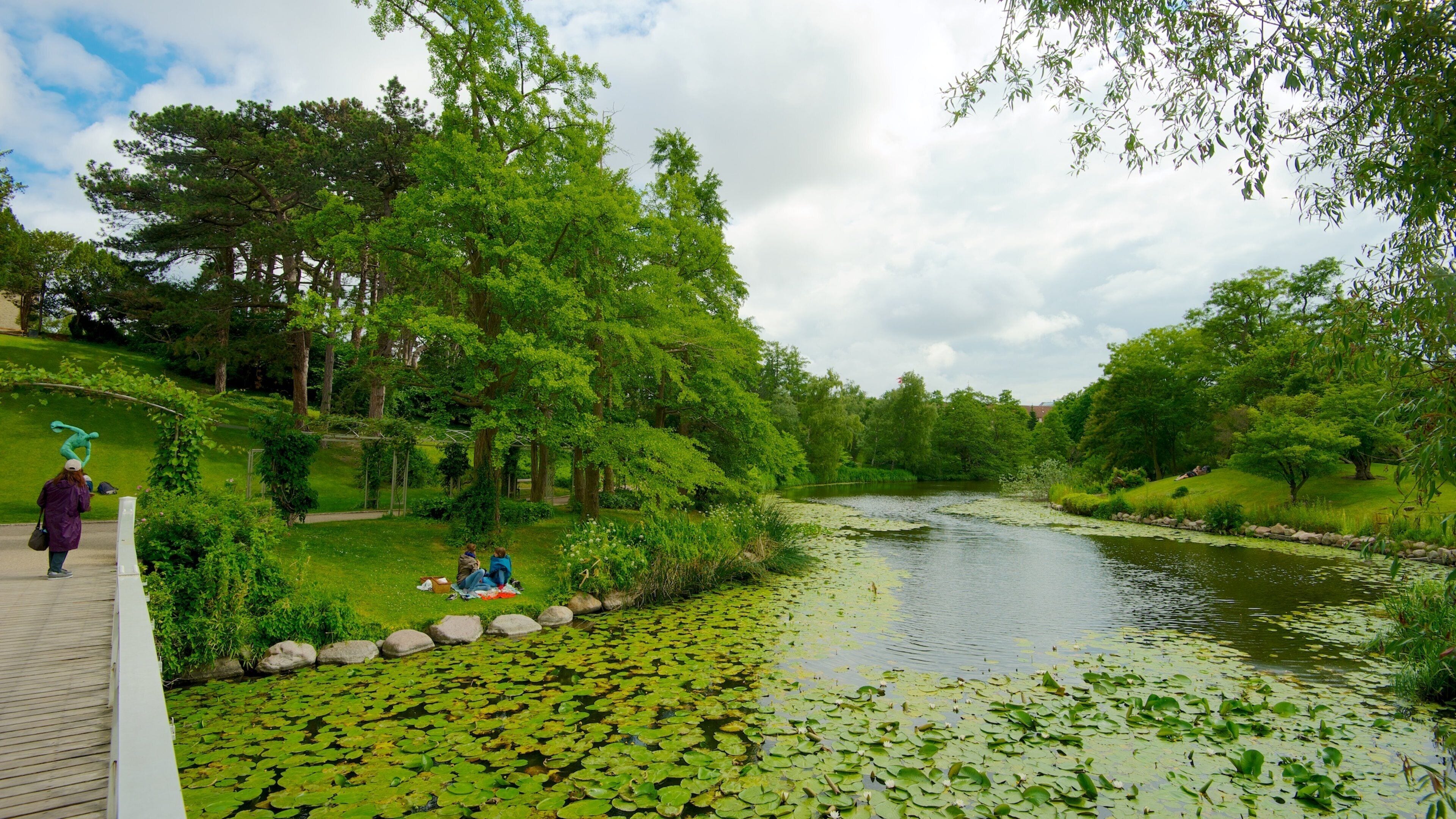 Jardín botánico mostrando jardín, un puente y un río o arroyo
