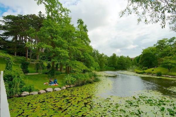 Botanischer Garten das einen Brücke, Fluss oder Bach und Garten