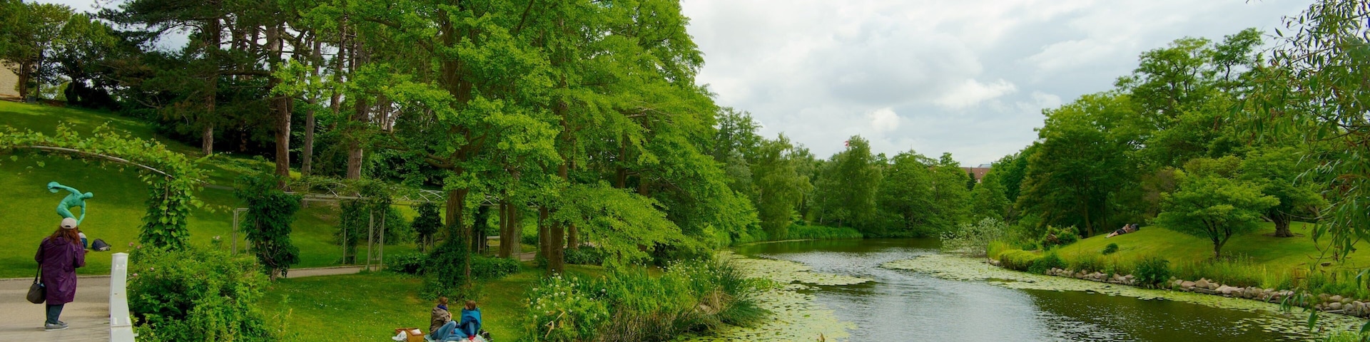 Botanischer Garten das einen Brücke, Fluss oder Bach und Garten