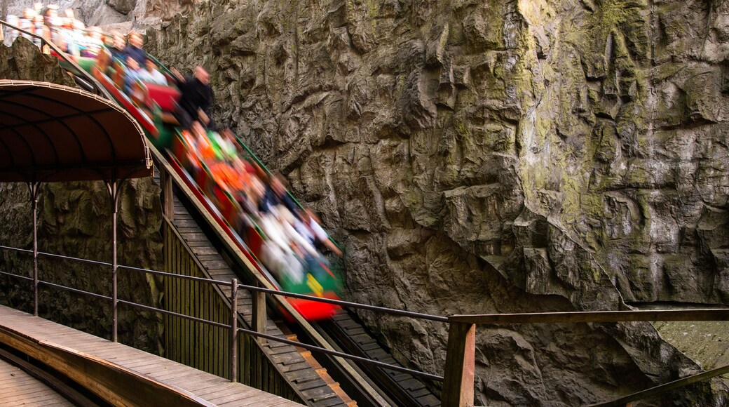 Tivoli Gardens which includes rides