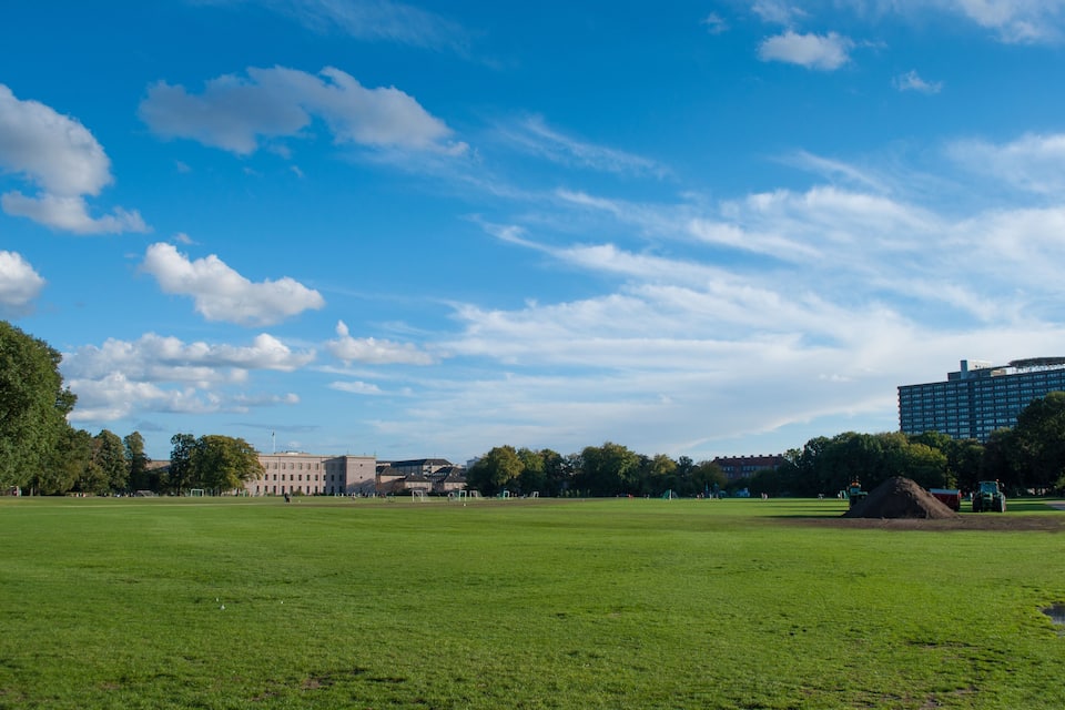 Ein großes, grünes Feld mit blauem Himmel und vereinzelten Wolken. Im Hintergrund sind Gebäude und Bäume zu sehen.