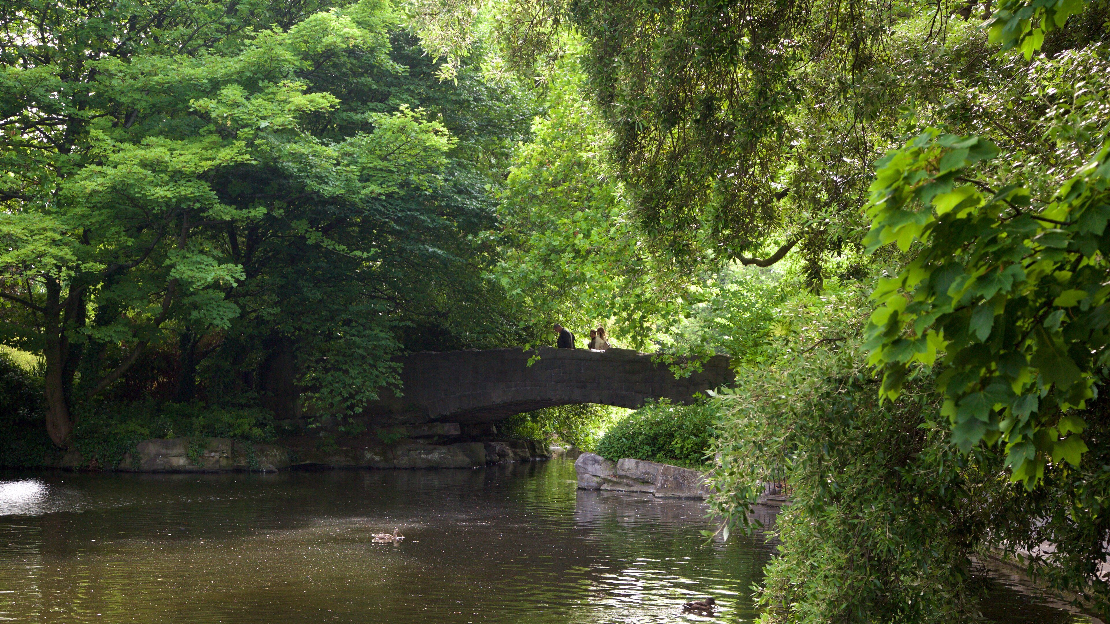 St. Stephen\'s Green featuring a bridge, a park and a pond