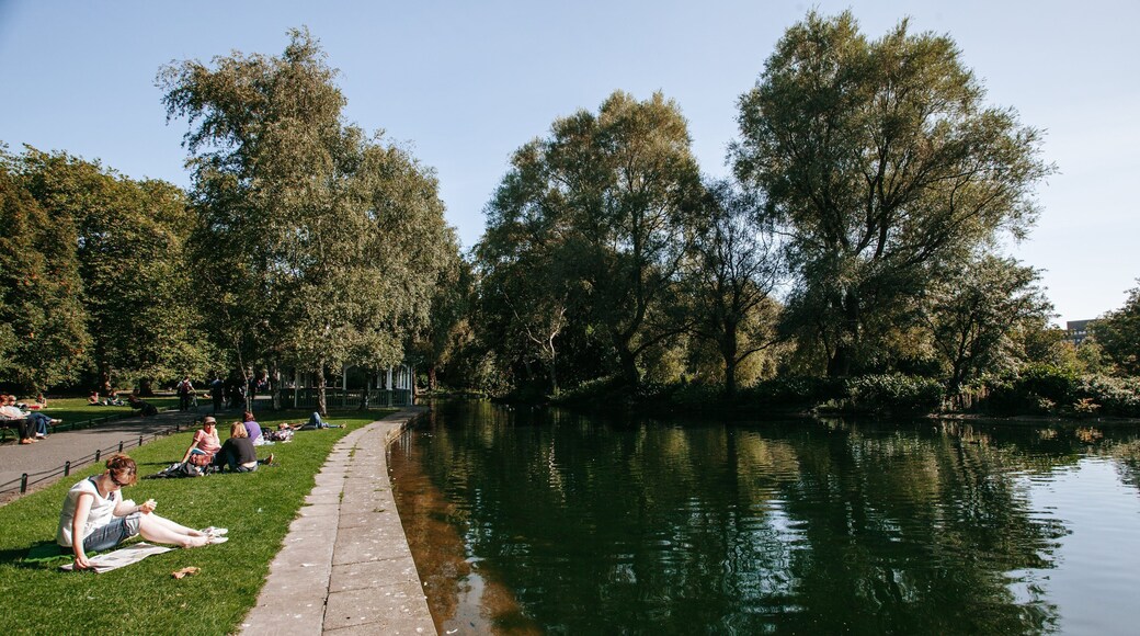 St. Stephen\'s Green showing a pond and a garden