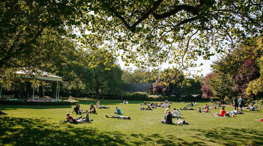 St. Stephen\'s Green featuring picnicing and a garden