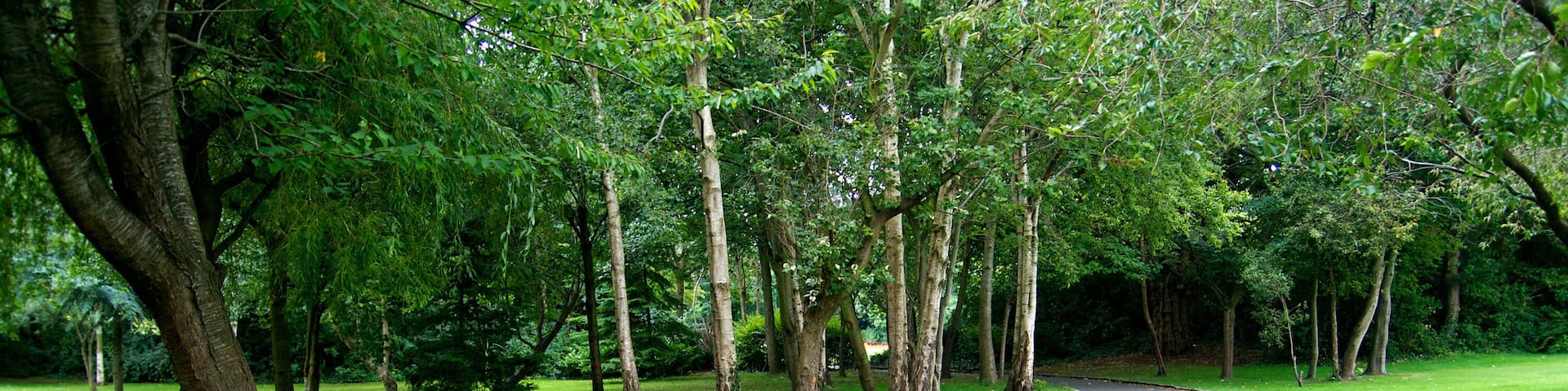 Merrion Square, Dublin