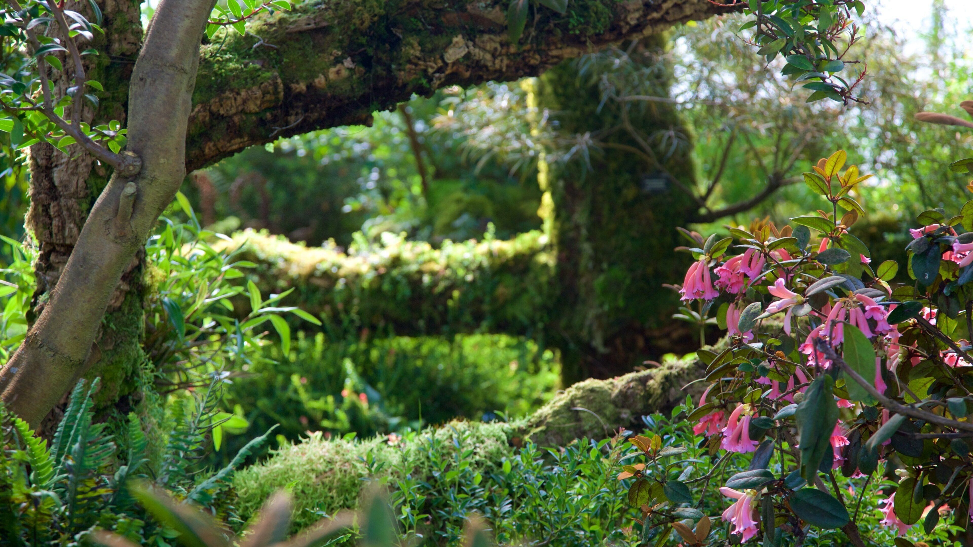 Royal Botanic Garden