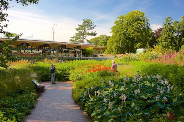 Royal Botanic Garden qui includes jardin