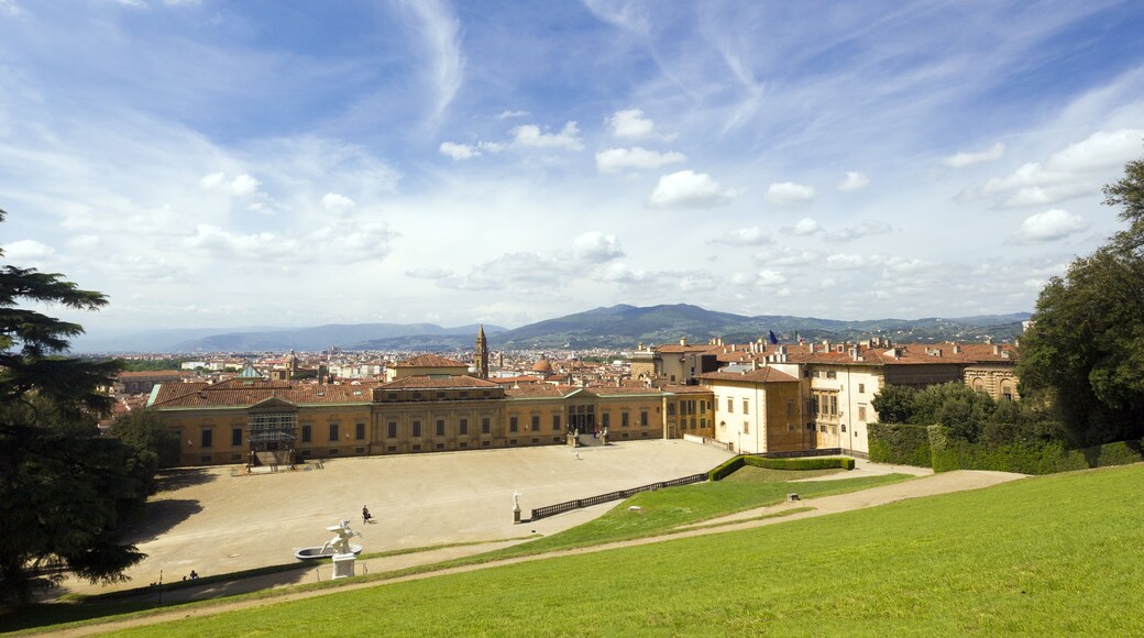 View of Florence (Palazzo Pitti ‰ۡÌÝÌÕ Giardini di Boboli)