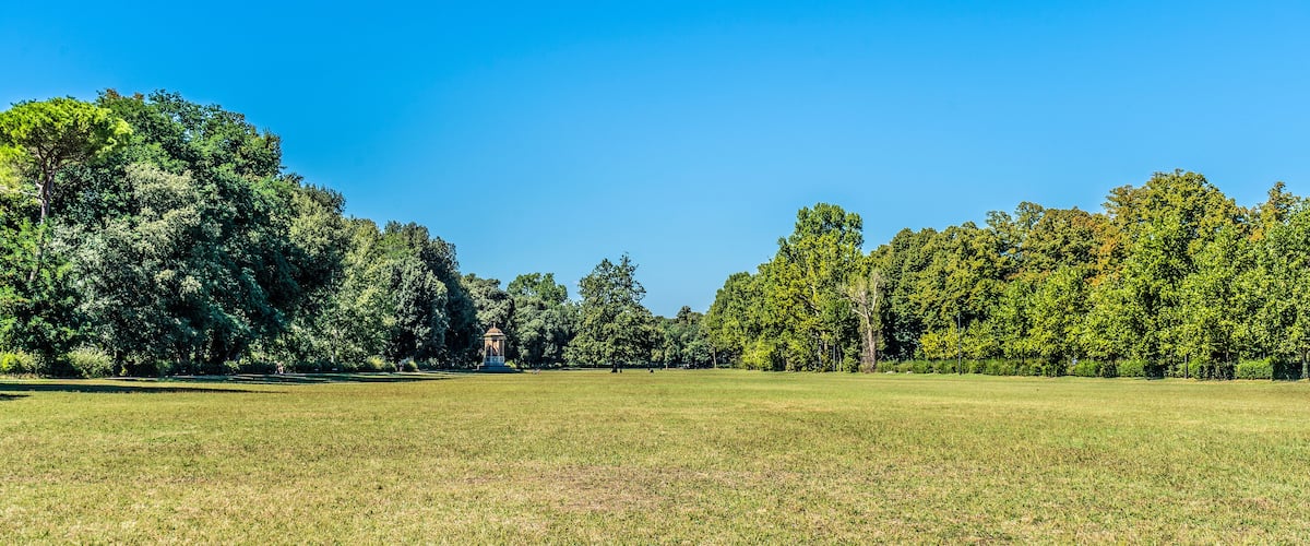 The wide and lush meadow called "Quercione" in the Cascine Park, a monumental and historical park in the city of Florence, Tuscany, Italy.