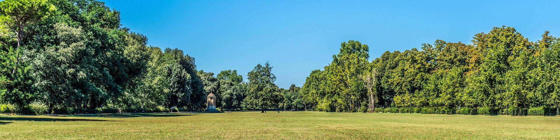 The wide and lush meadow called "Quercione" in the Cascine Park, a monumental and historical park in the city of Florence, Tuscany, Italy.