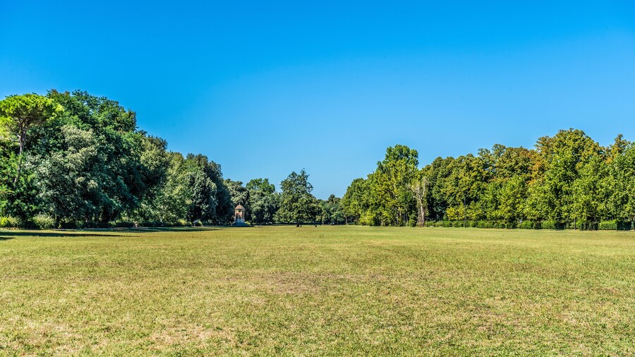 The wide and lush meadow called "Quercione" in the Cascine Park, a monumental and historical park in the city of Florence, Tuscany, Italy.