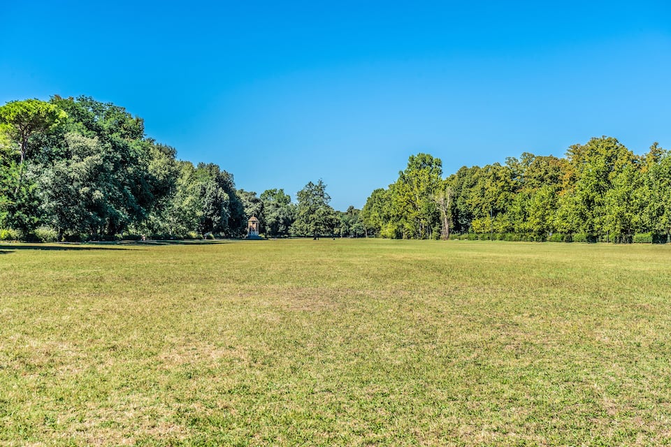 Un parc verdoyant, avec des arbres et un ciel bleu dégagé.