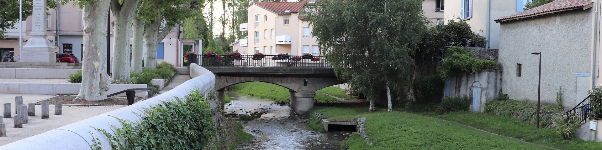 Un río serpenteando bajo un puente, rodeado de vegetación y edificios residenciales.