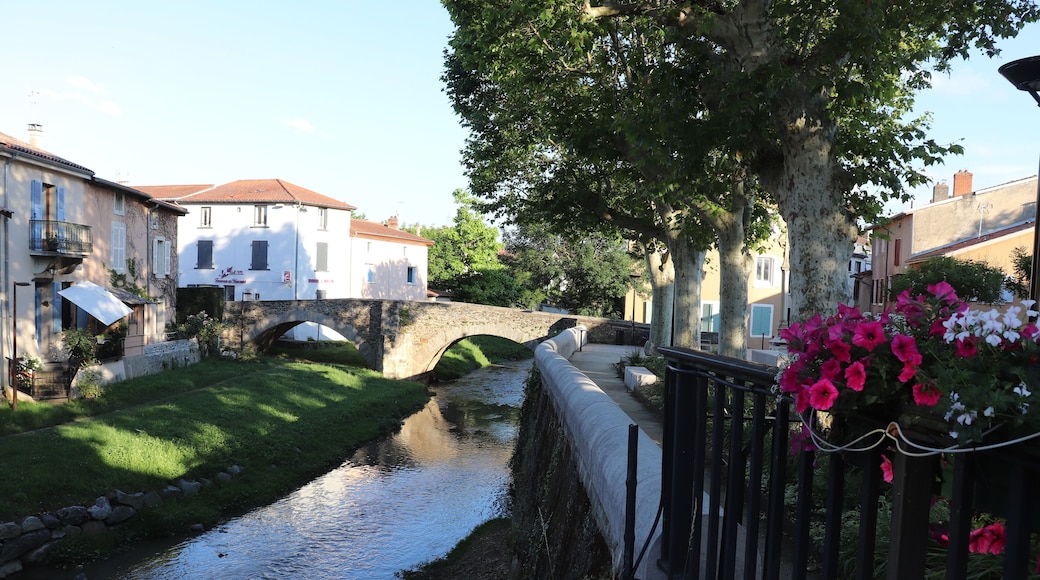 Le Pont vieux sur la rivière Le Garon dans le village de Brignais