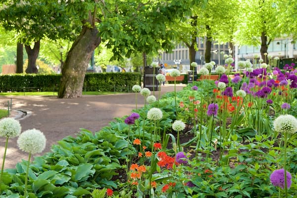 Esplanadi showing flowers and a garden