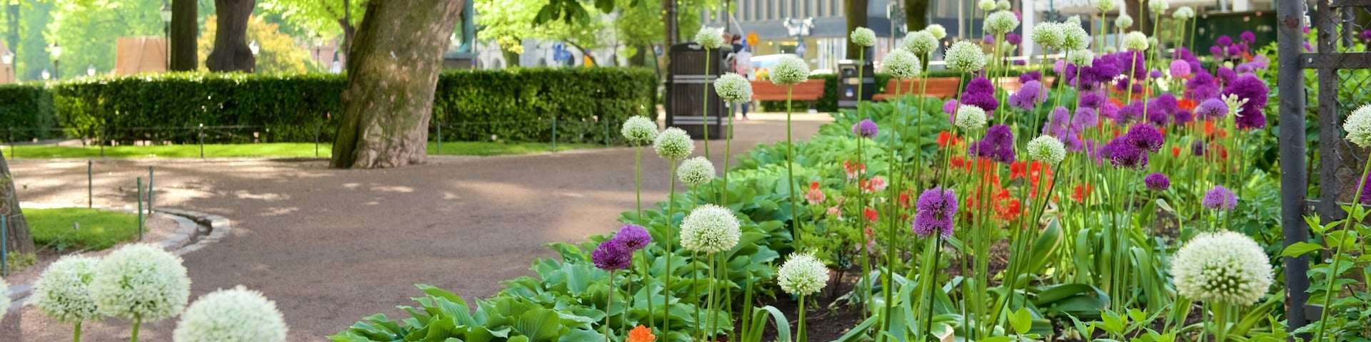Esplanadi showing flowers and a garden