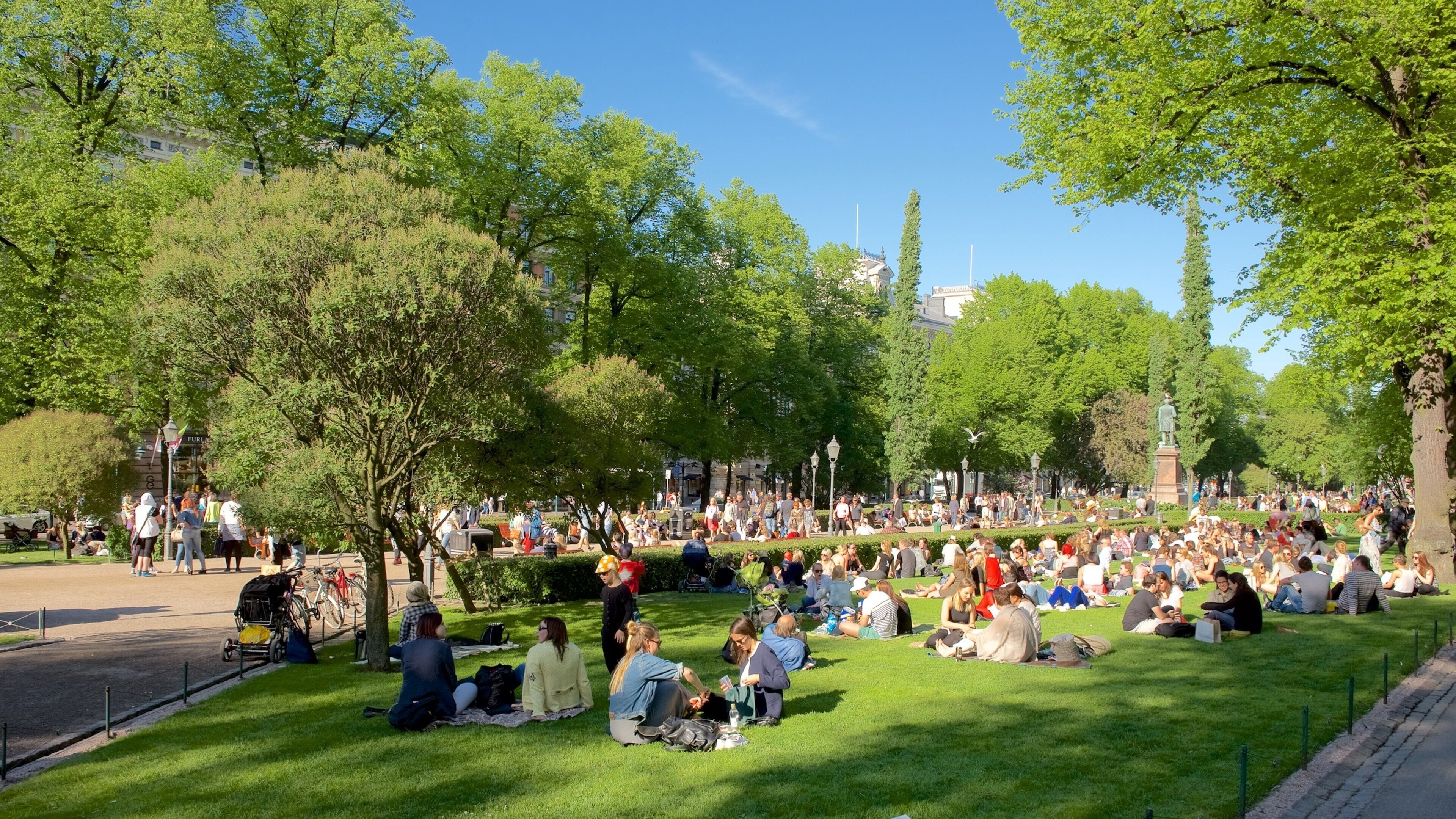 Esplanadi showing a park and picnicing as well as a large group of people
