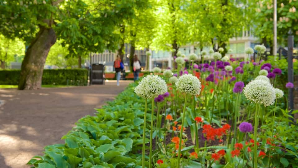 En have med grøn vegetation, lilla og hvide blomster, samt en sti.