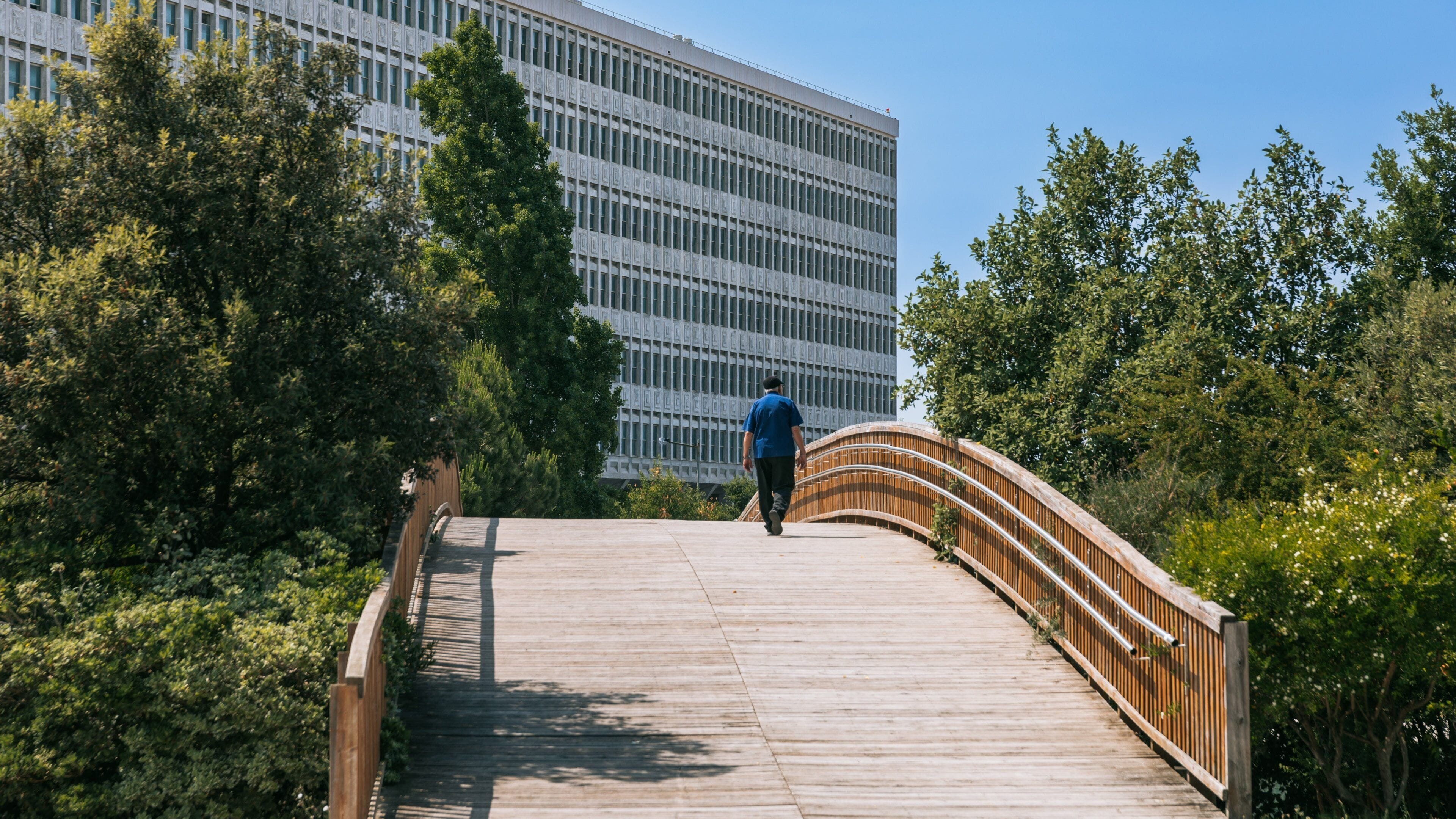 Eduardo VII Park showing a bridge as well as an individual male