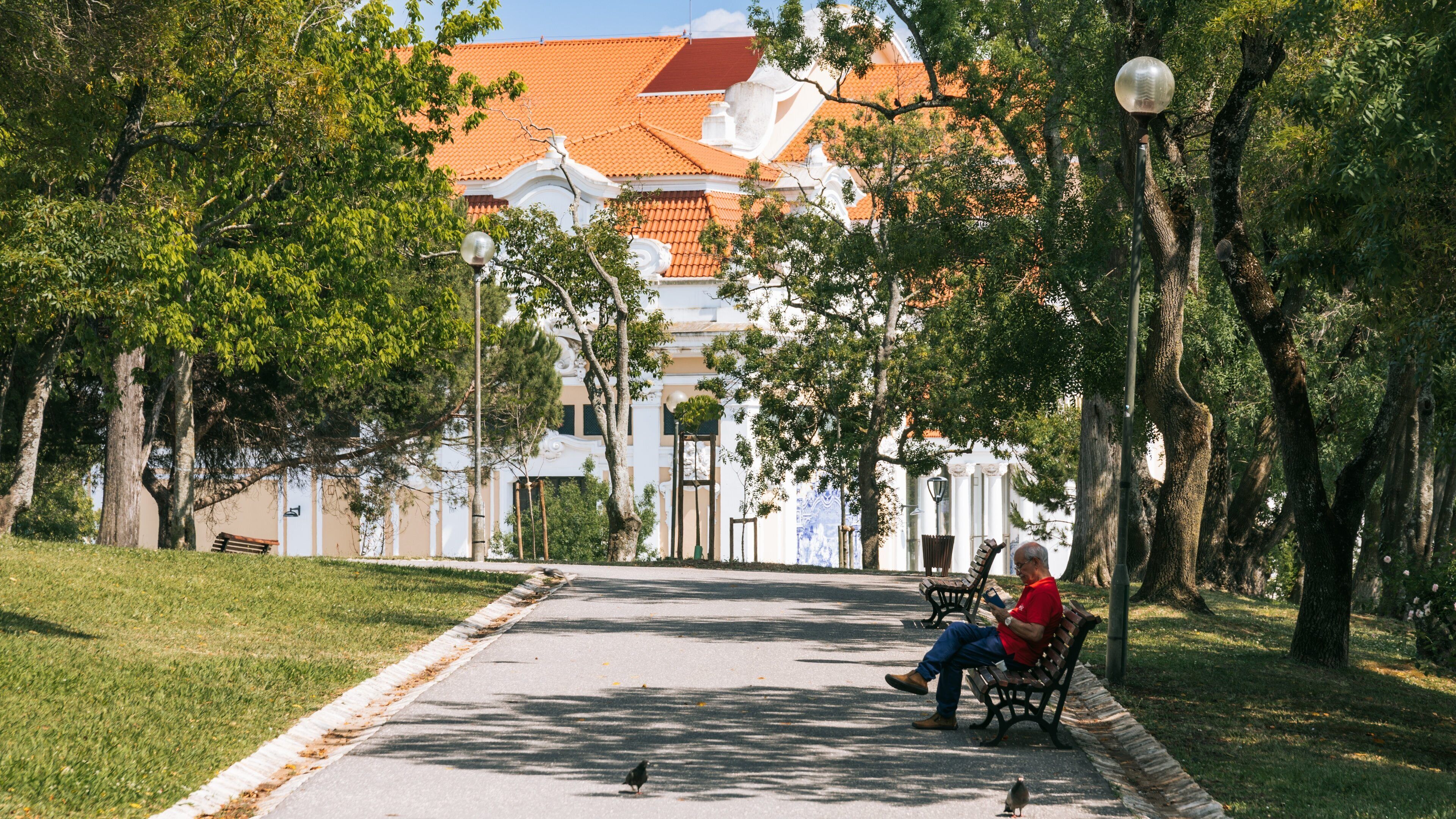 Eduardo VII Park which includes a park as well as an individual male