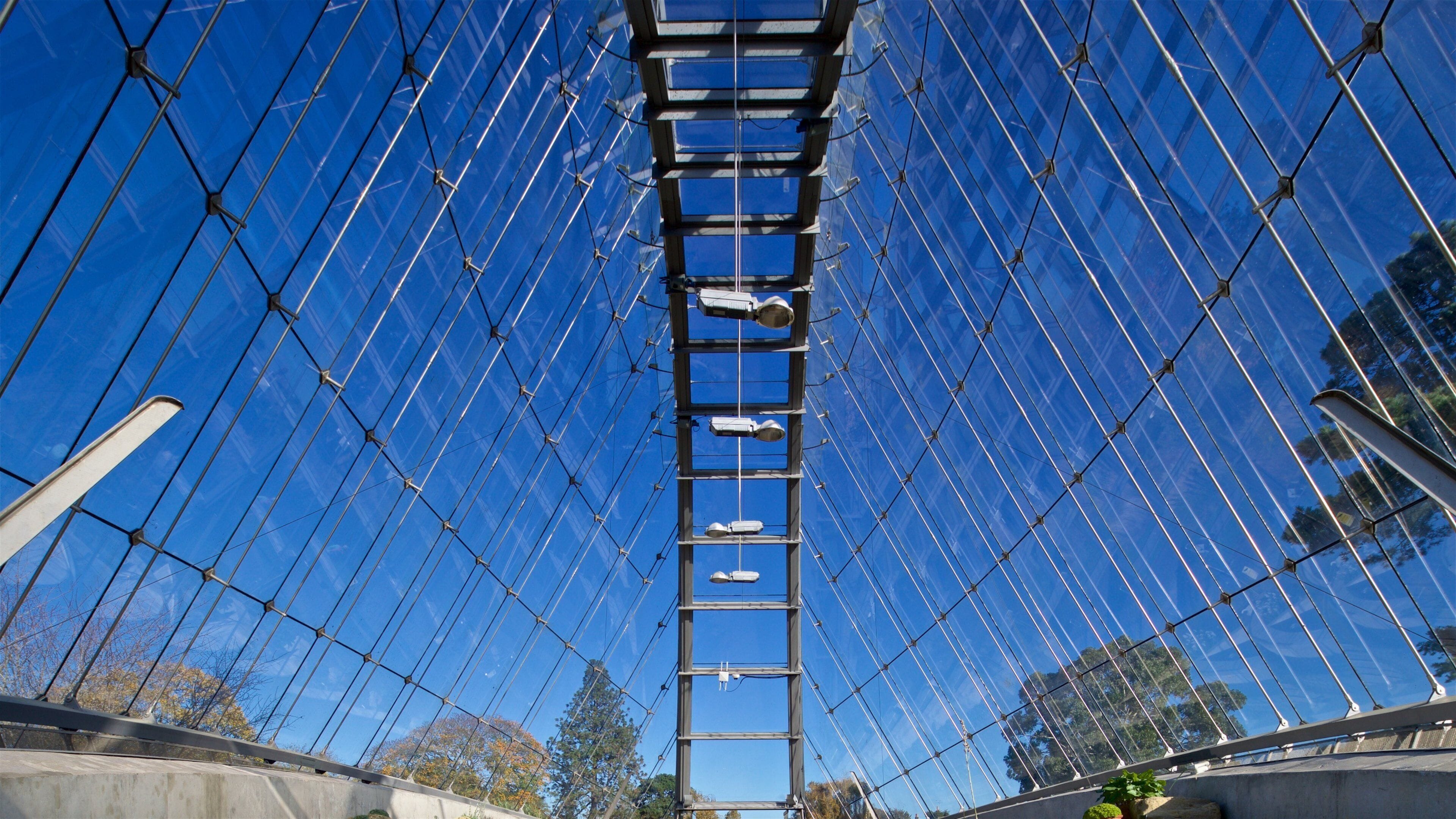 Royal Botanic Gardens showing interior views