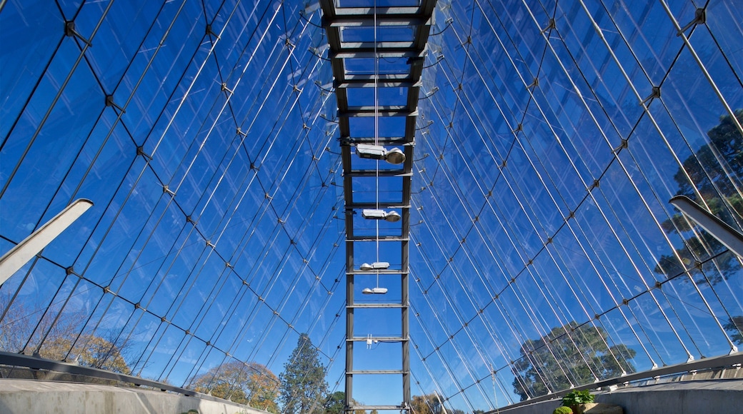 Royal Botanic Gardens showing interior views