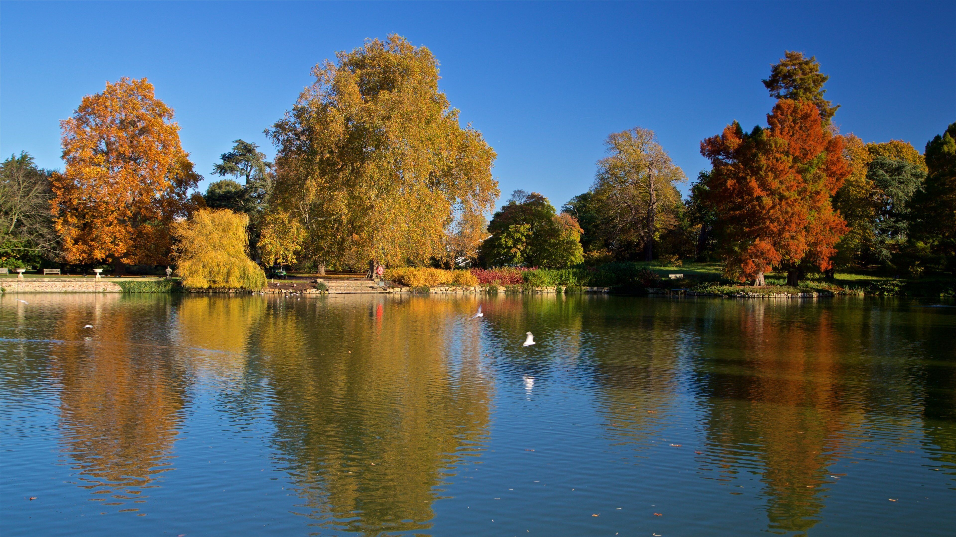Royal Botanic Gardens featuring a pond