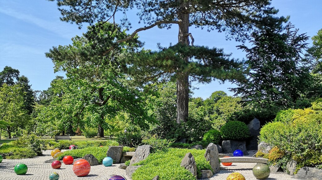 A relaxing day. Hot but there are lots of oppertuneties to find shade.