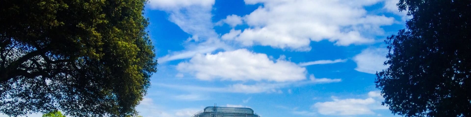 Kew Gardens, founded in the 1840s, the world's largest collection of living plants. The Palm House (1844–1848) is made of the glass and glass panes. The 19m high central nave is surrounded by a walkway at 9m height, allowing a closer look upon the palm tree crowns.