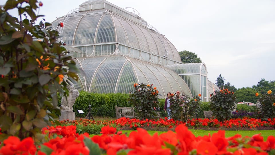 Royal Botanic Gardens, Kew which includes a park and flowers