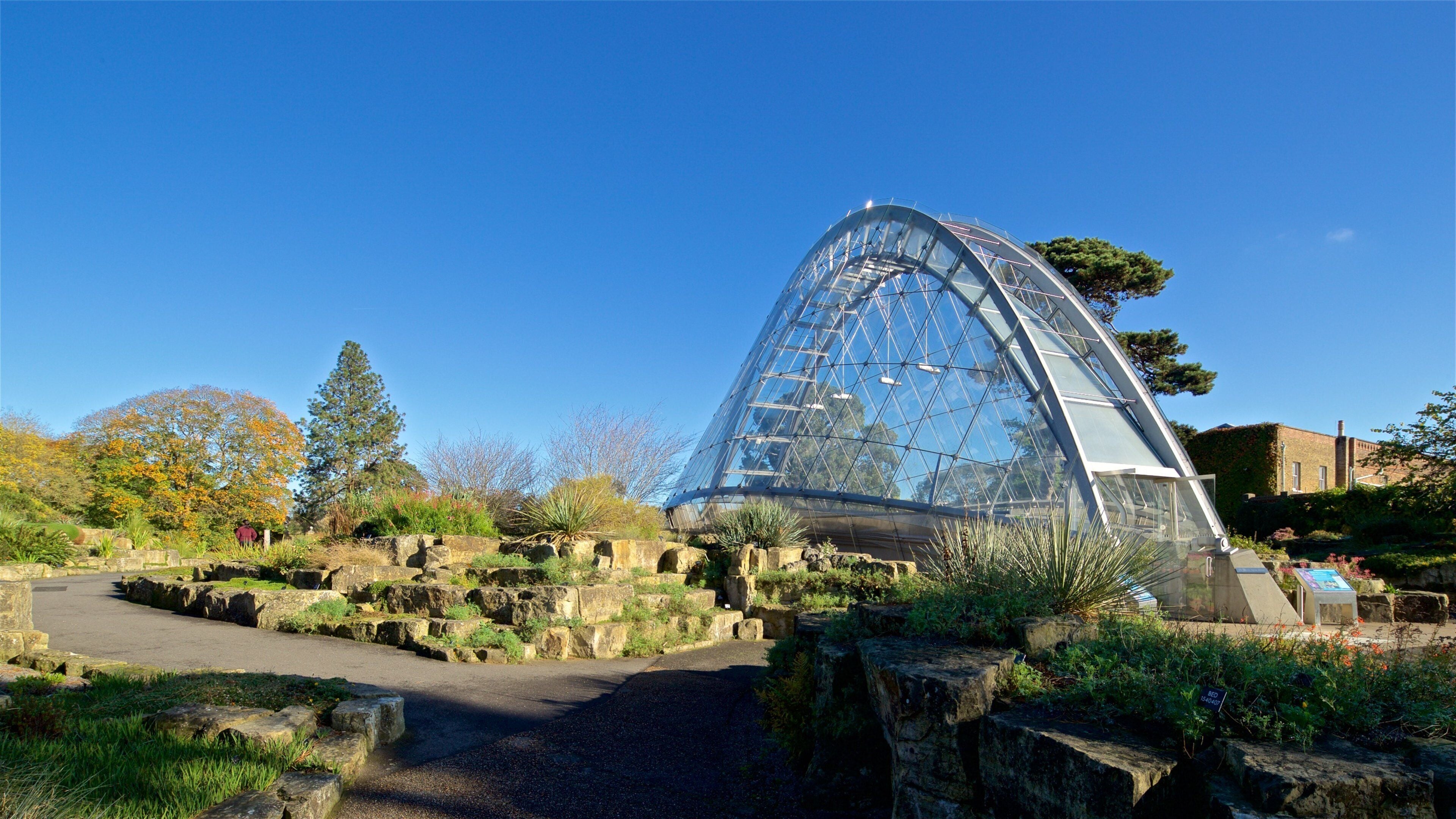 Royal Botanic Gardens showing a park