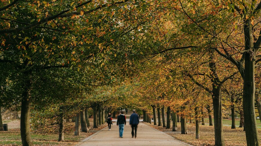 Greenwich Park showing fall colors and a park as well as a couple
