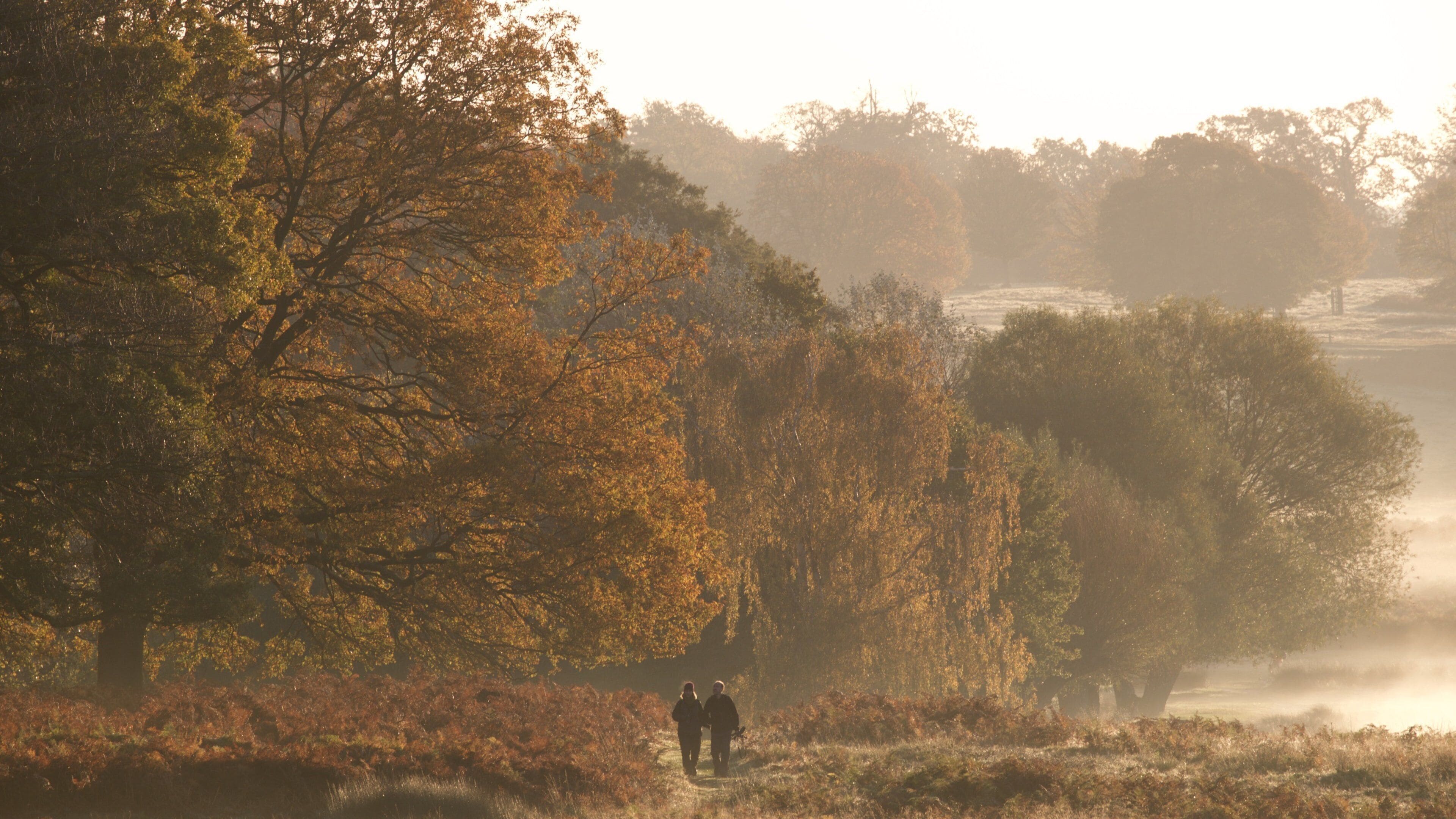 Richmond Park showing tranquil scenes as well as a couple