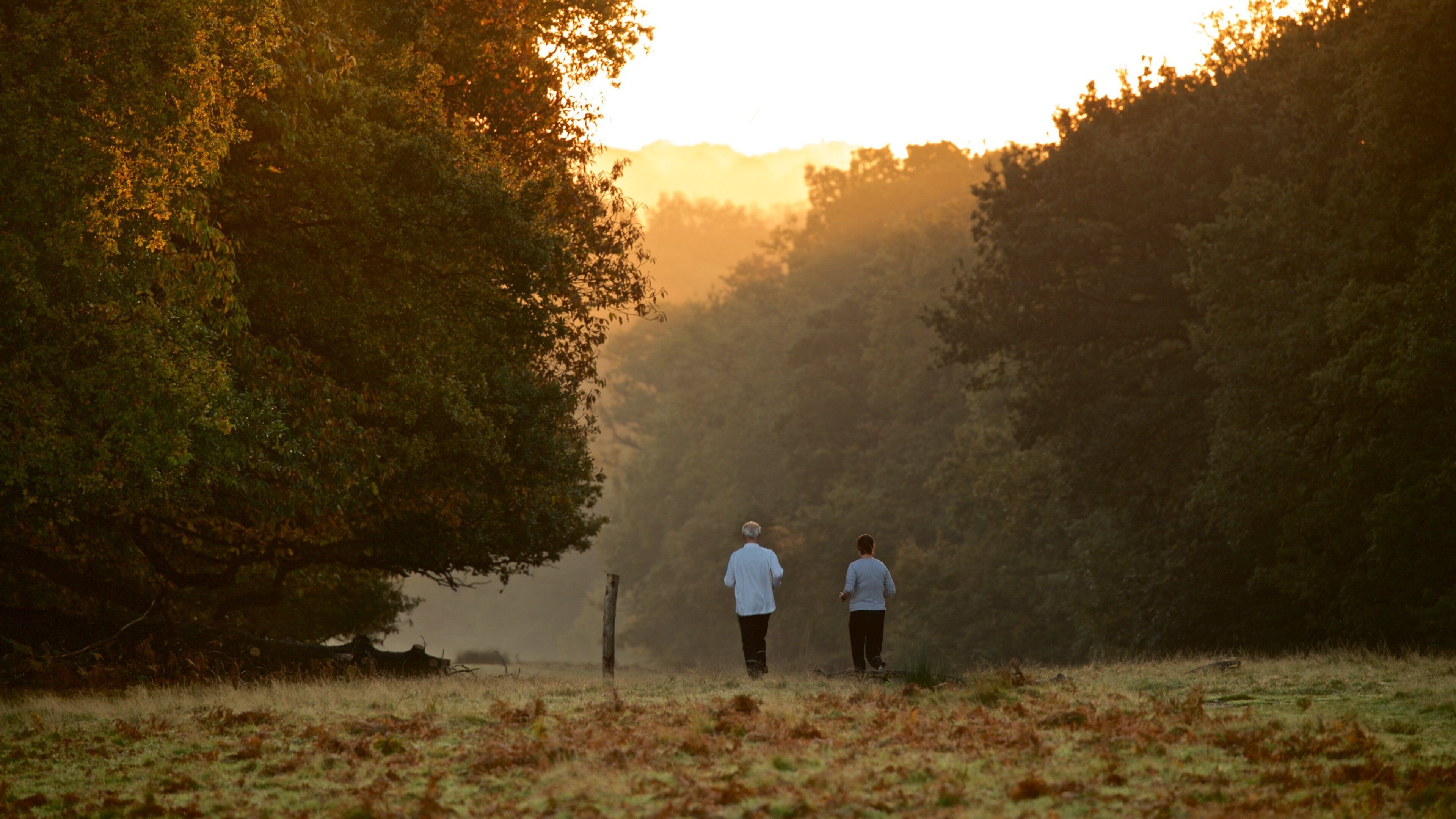 Two people walking in a forest during sunset.