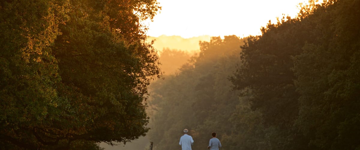 Two people walking in a forest during sunset.