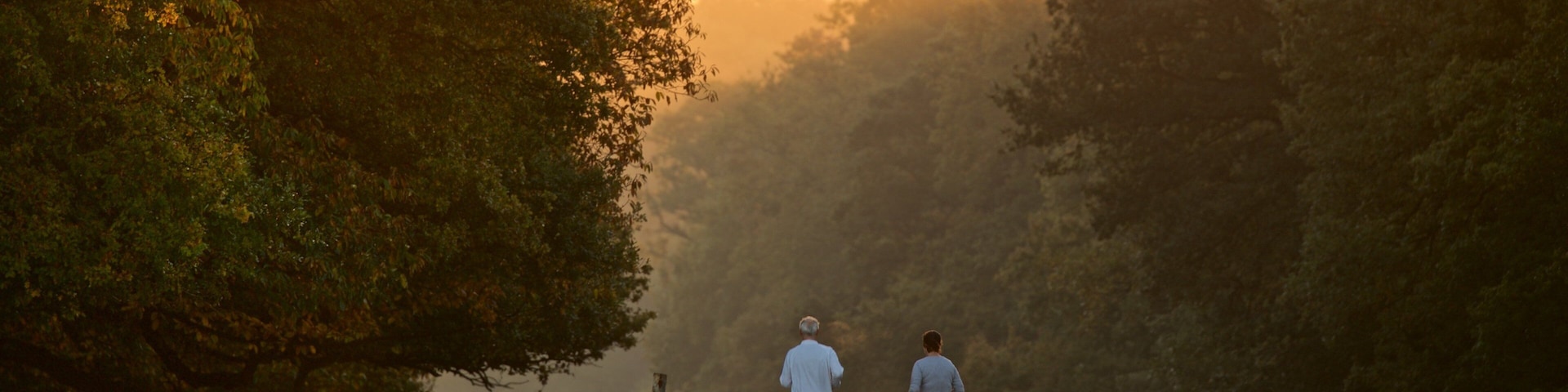 Two people walking in a forest during sunset.