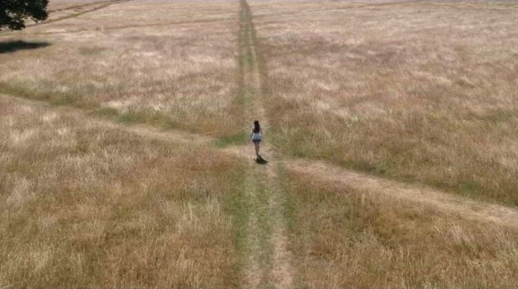 I love a good park and Richmond park is definitely one of the good ones! If youโre not spotting deer you can walk through itโs mini forests and gardens or just chill by the pond.