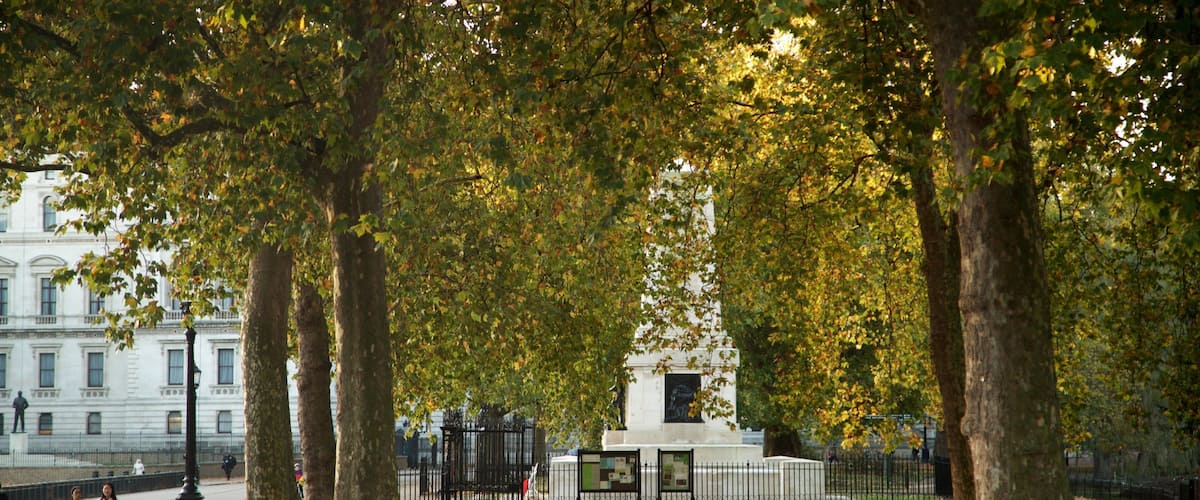 St. James Park featuring hiking or walking, autumn leaves and a garden
