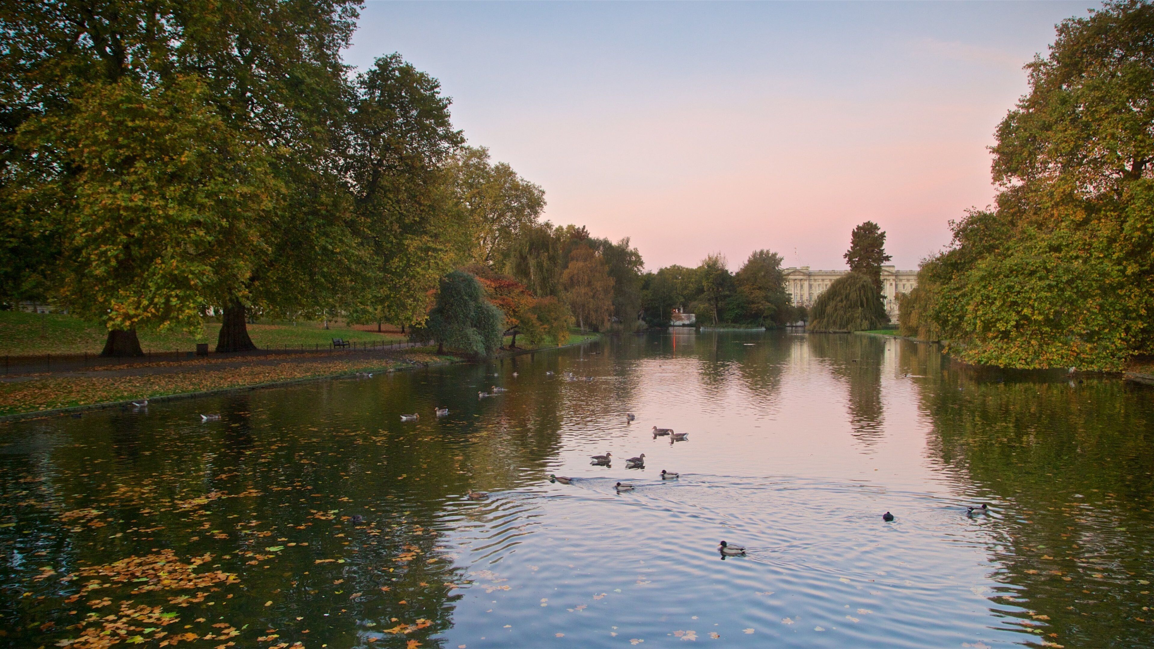 St. James Park featuring a pond, a sunset and bird life