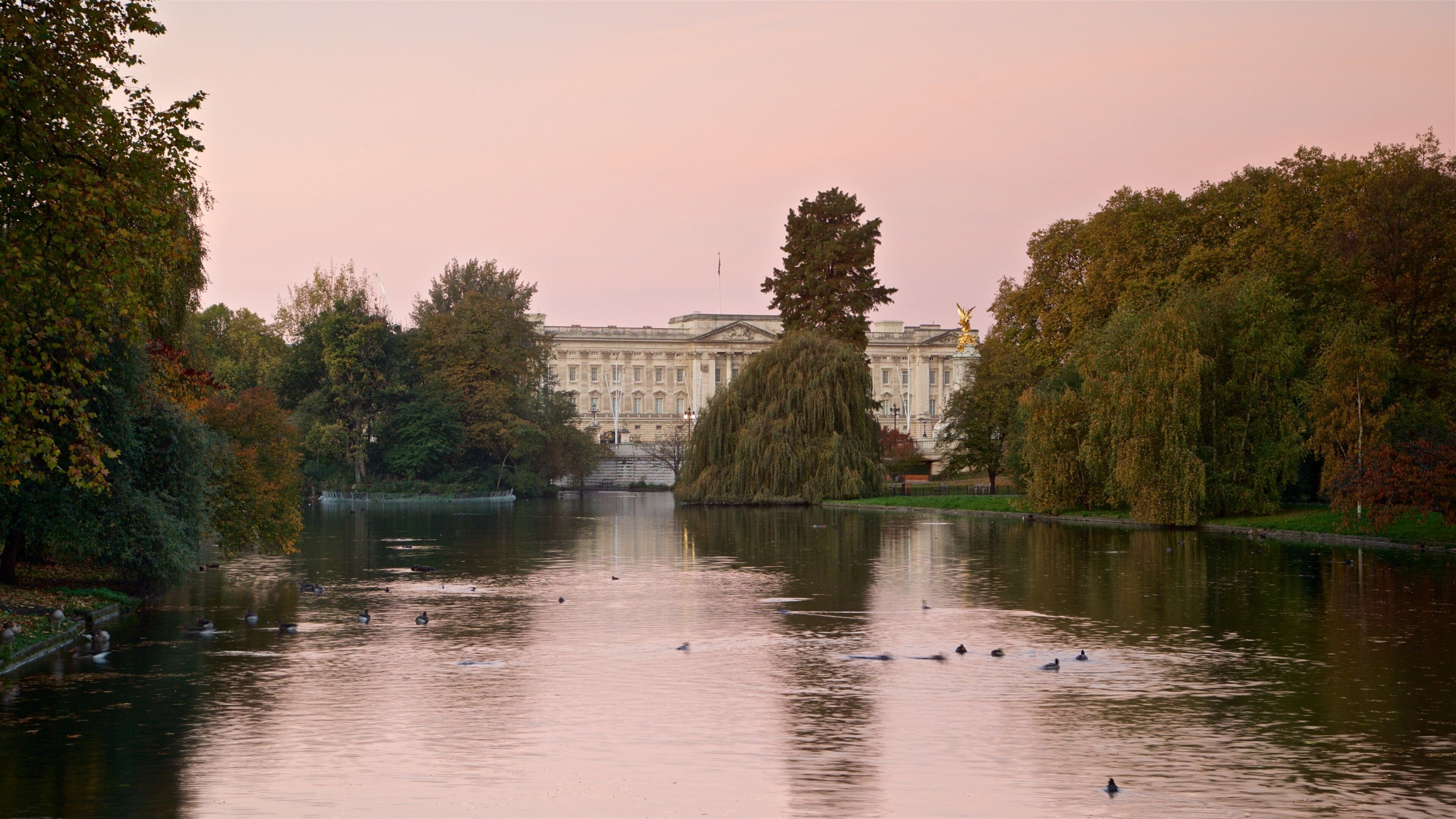 Un lago tranquilo con patos, rodeado de árboles y un edificio grande al fondo.