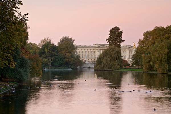 A calm lake with ducks, surrounded by trees and a large building in the background.