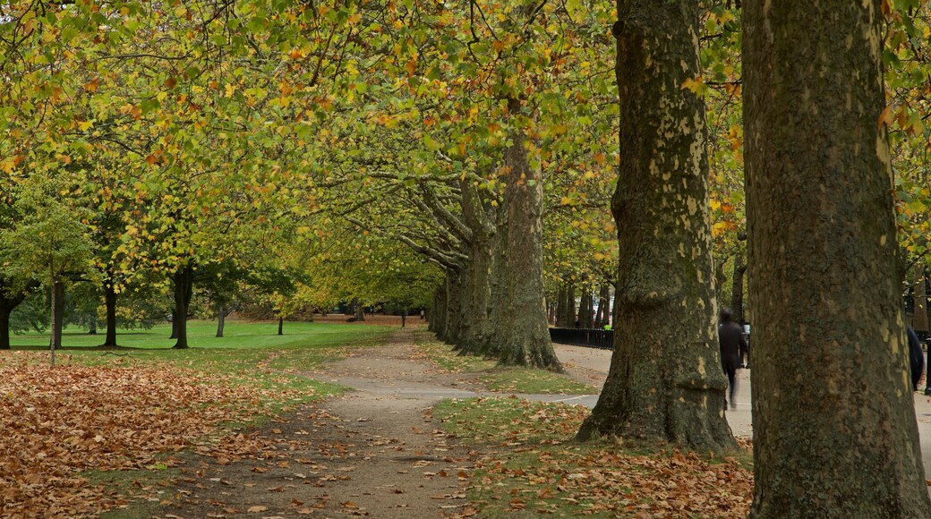 Green Park