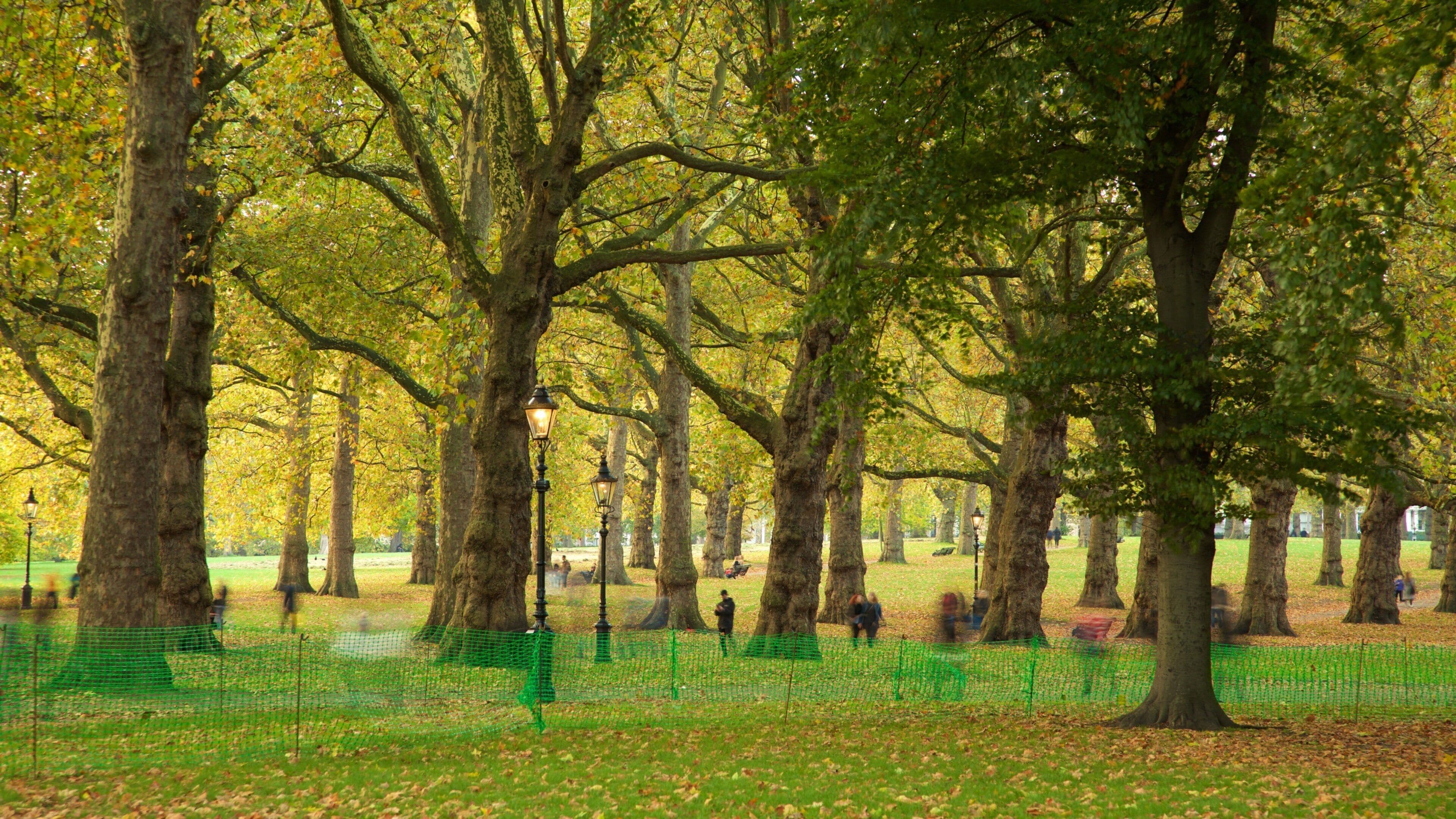 Green Park johon kuuluu puutarha