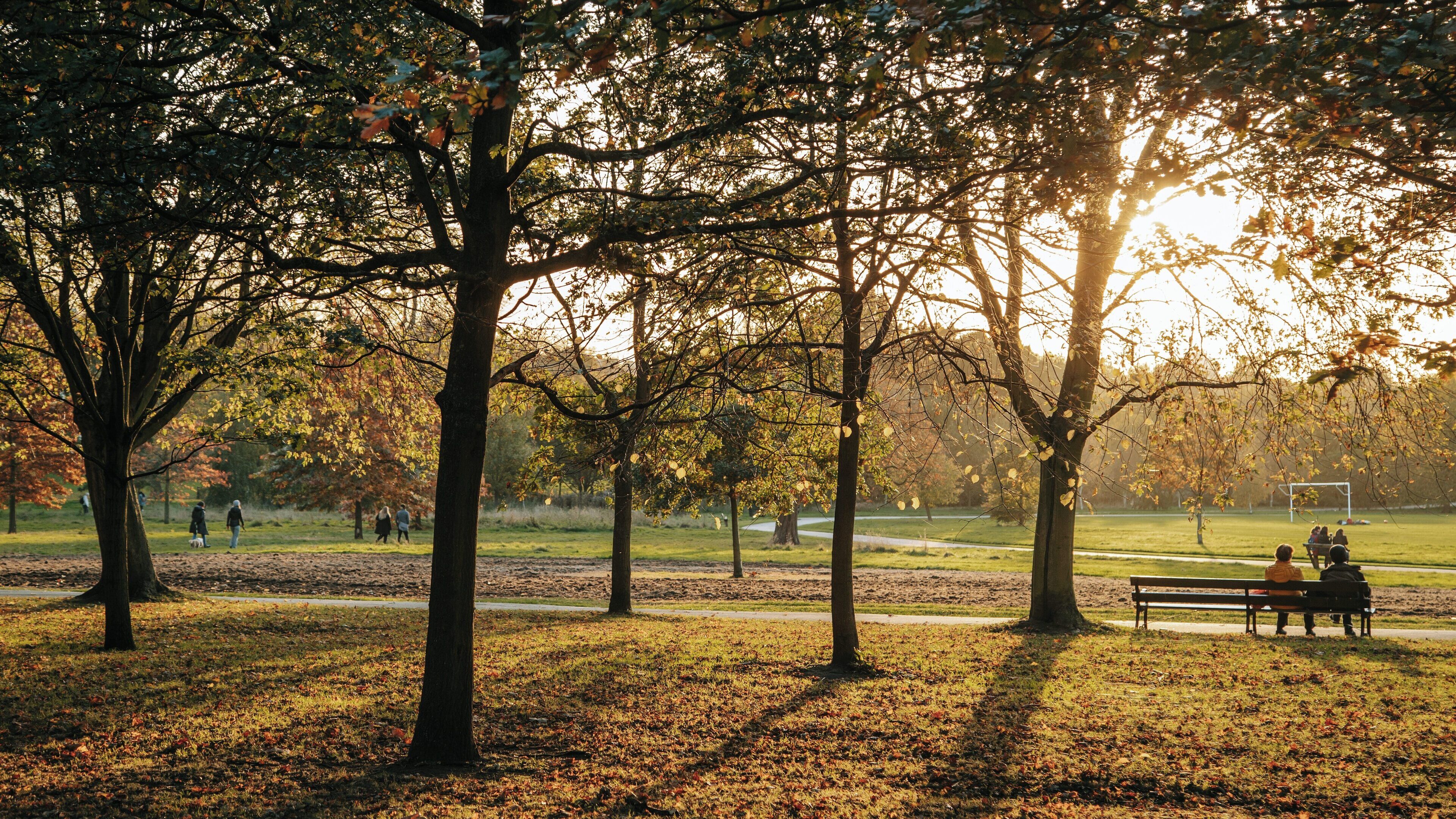 Enjoying a peaceful afternoon in Regent's Park, City of Westminster, London, as autumn leaves fall under the warm glow of the sunset