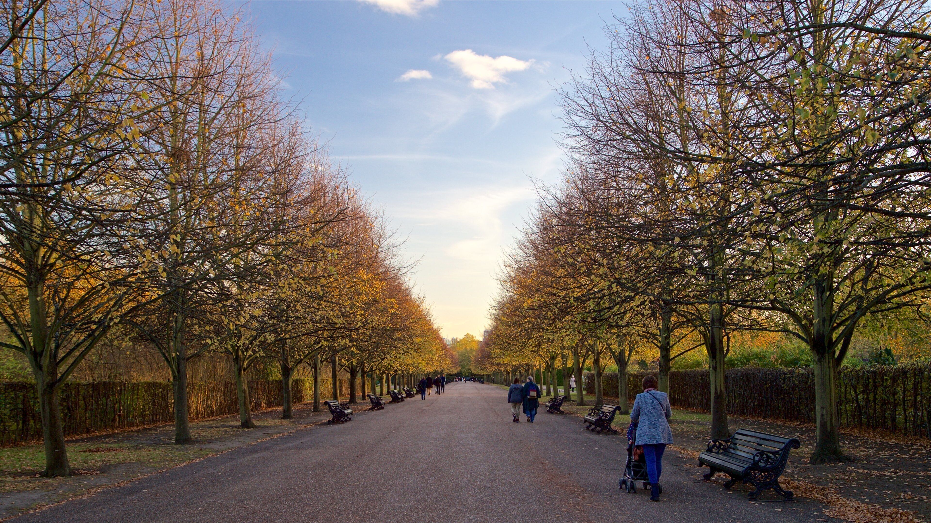 Regent\'s Park featuring fall colors and a park