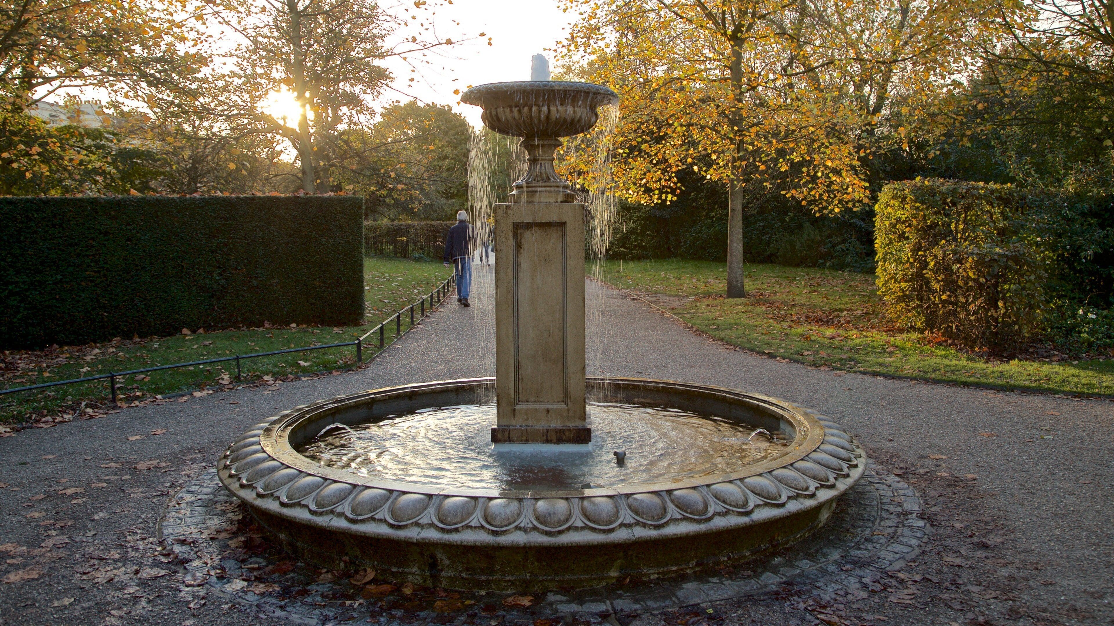 Regent\'s Park which includes autumn leaves, a sunset and a fountain