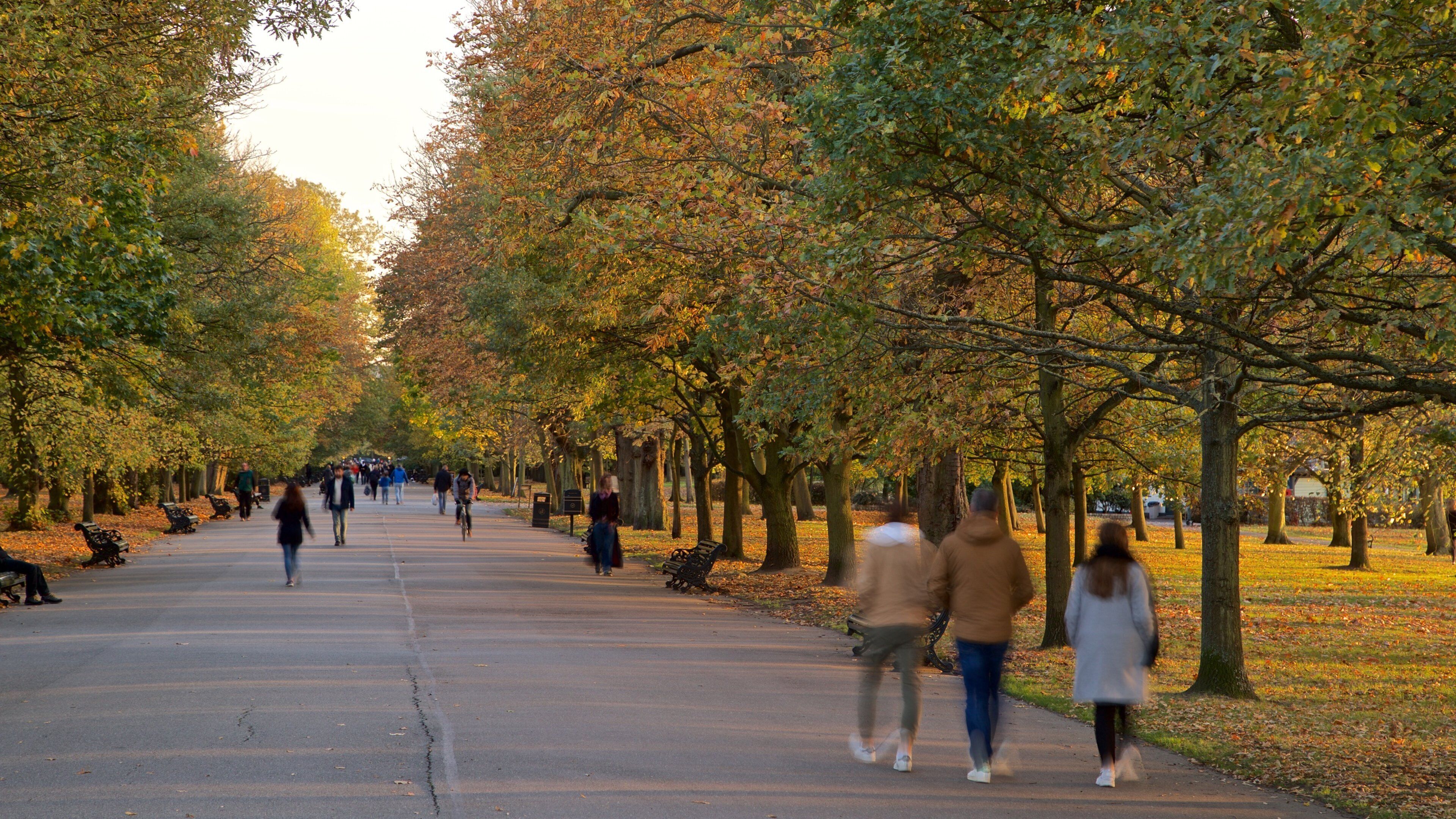 Regent\'s Park featuring a park and fall colors